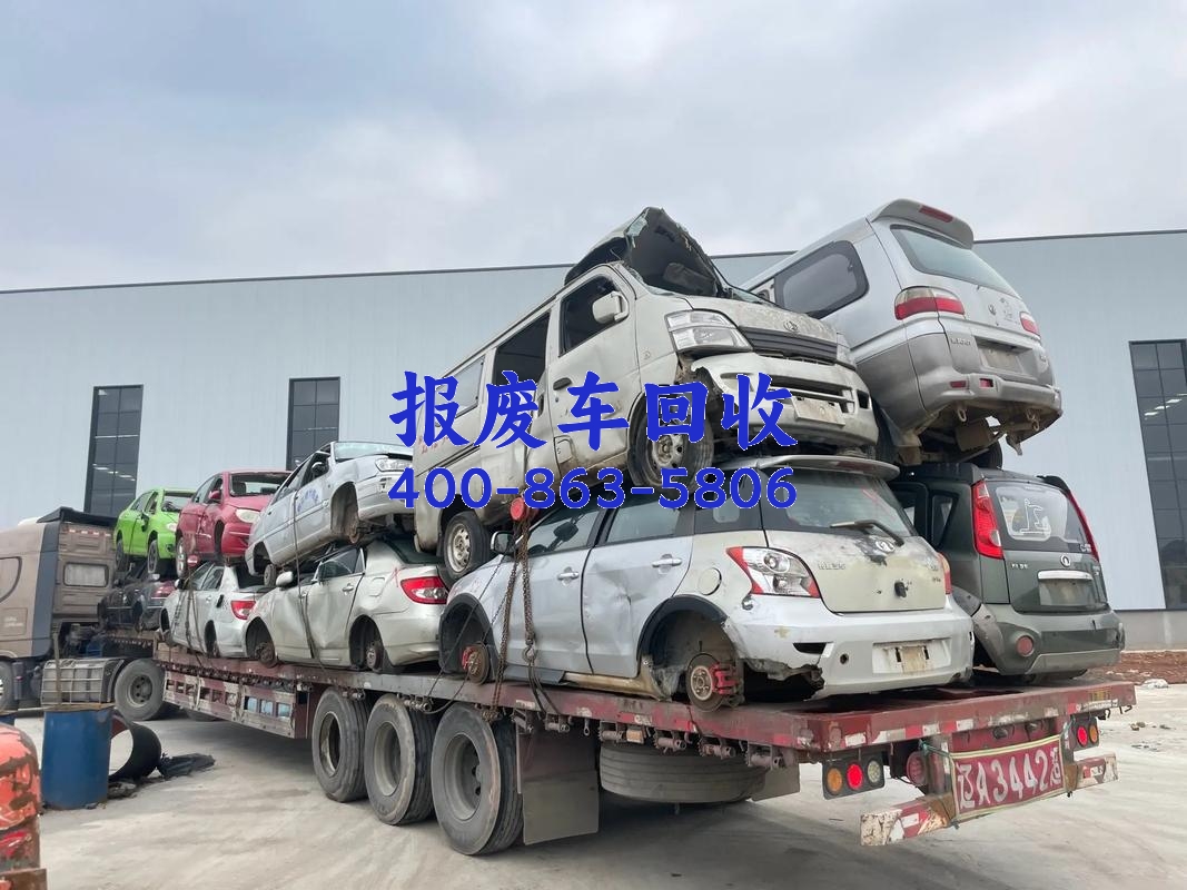 图片48